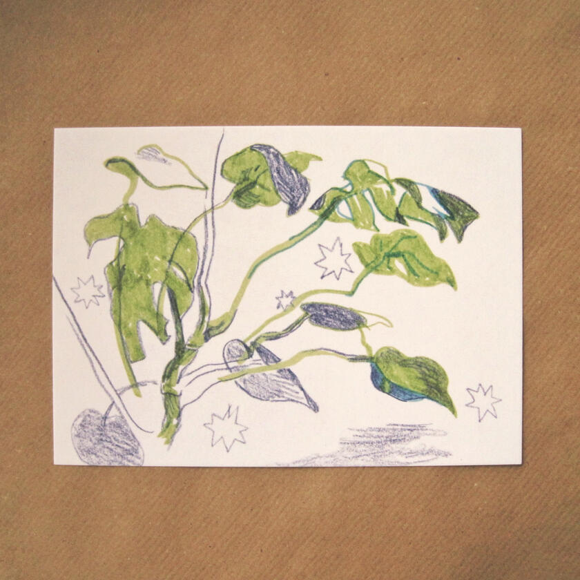 Monstera Postkarte