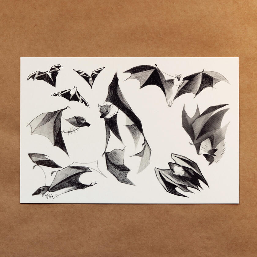 Fledermaus Postkarte